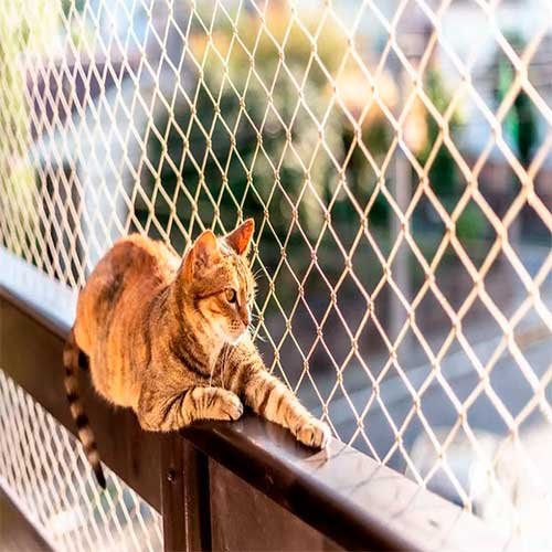 Rede de proteção para gatos em varanda